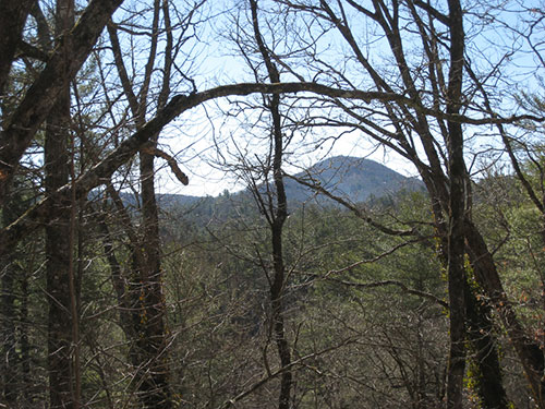 Lot 8 Wyanoak Drive
