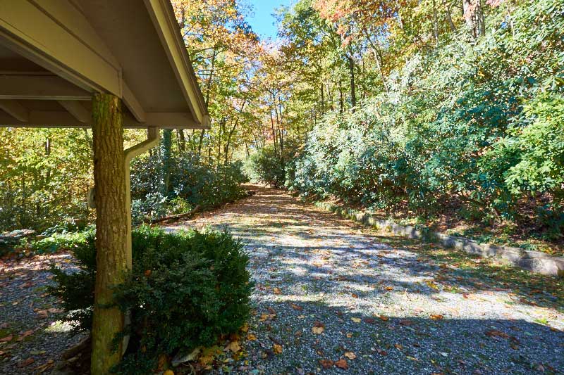 469dogMountainRoad_02