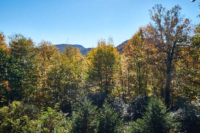469dogMountainRoad_05
